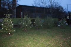 IMG_0267