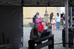 IMG_8481