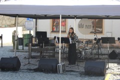 IMG_1019