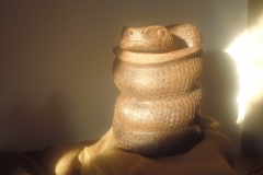 P1020039