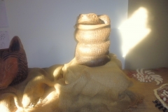 P1020040